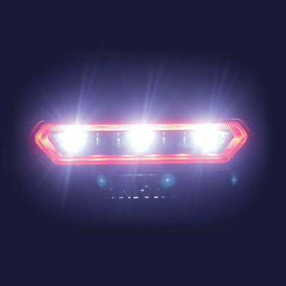Honda P500 Tail Light with Reverse